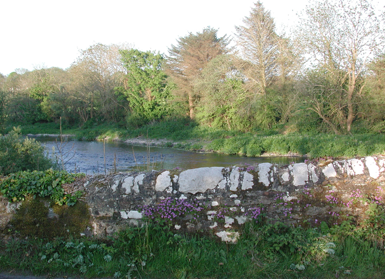 Bandon River 5.jpg 482.8K